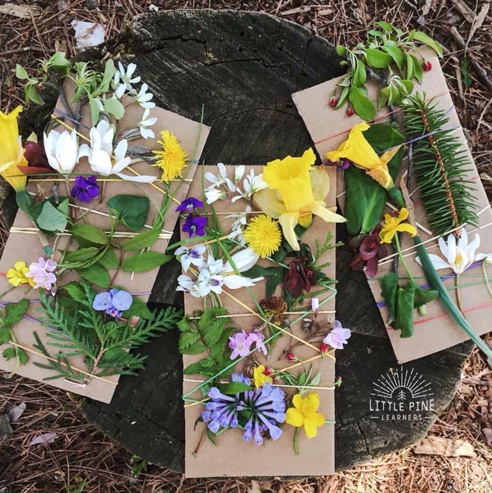 Cardboard, rubber bands, and flower nature weaving for kids. 