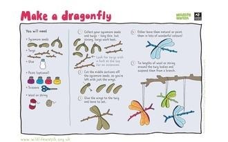 Dragonfly craft