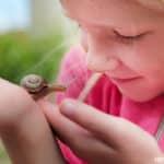 Keeping Snails as Pets for Kids