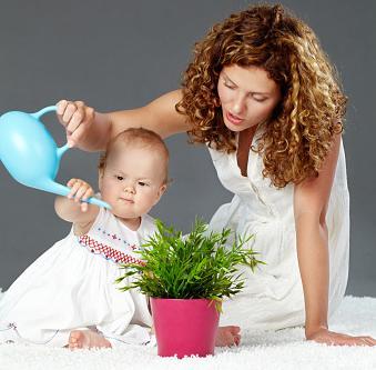 Watering plant