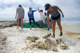Save Coral Reefs ...