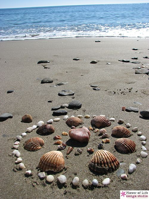 shell mandalas for kids :: math and art