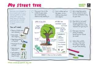 Drawing by Corinne Welch