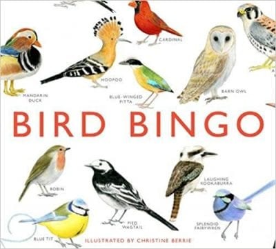 Birding for Kids - 19 Easy Ways to Get Kids into Birding