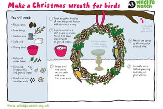 Christmas wreath