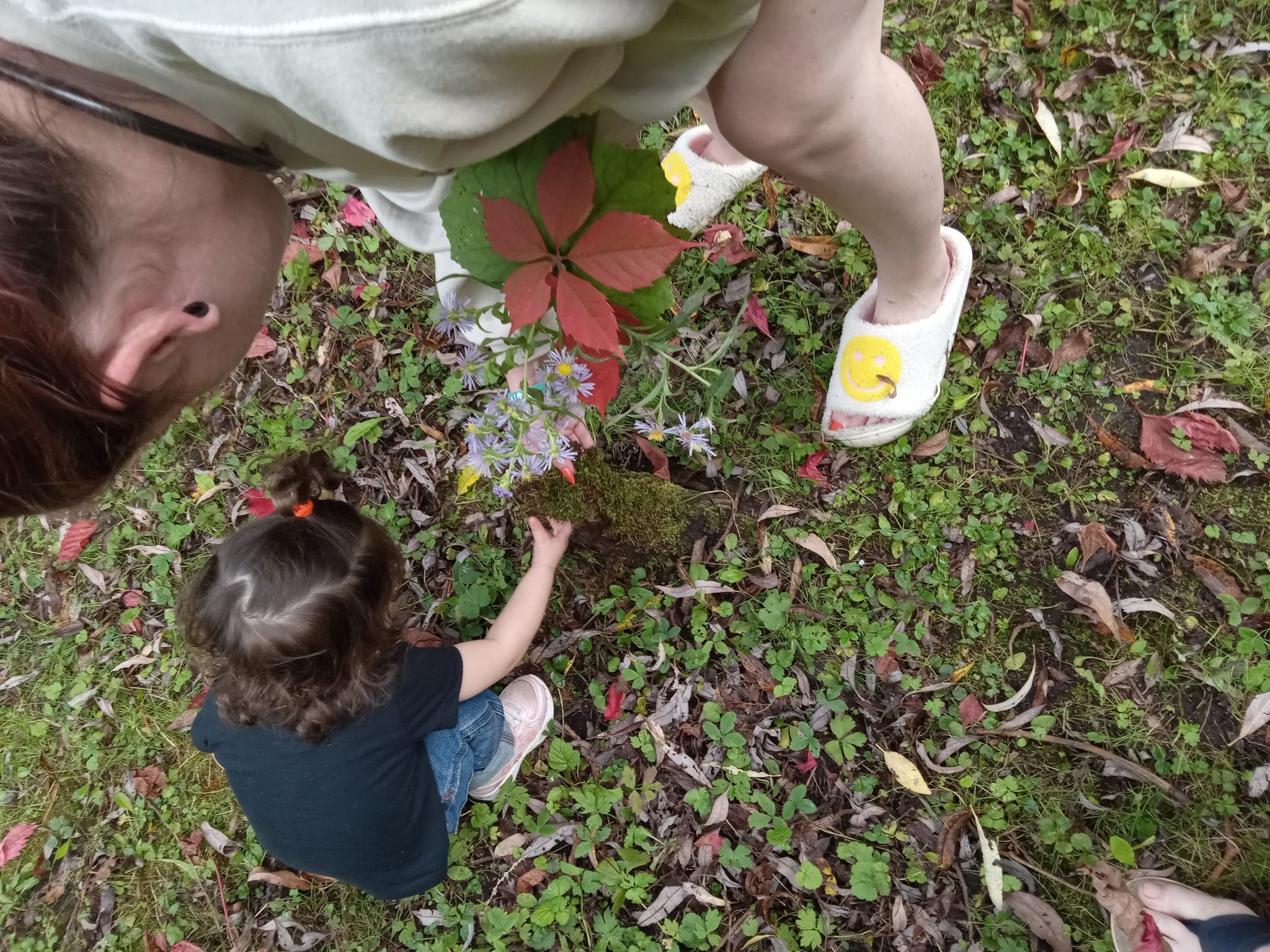 Activities For Families