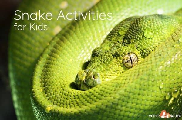 Sssuper Snake Activities for Kids