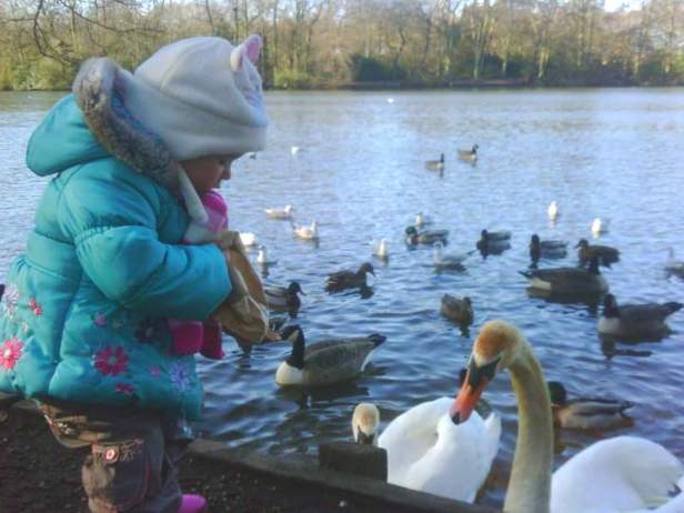 Feeding the Ducks - The Center for Childhood Development