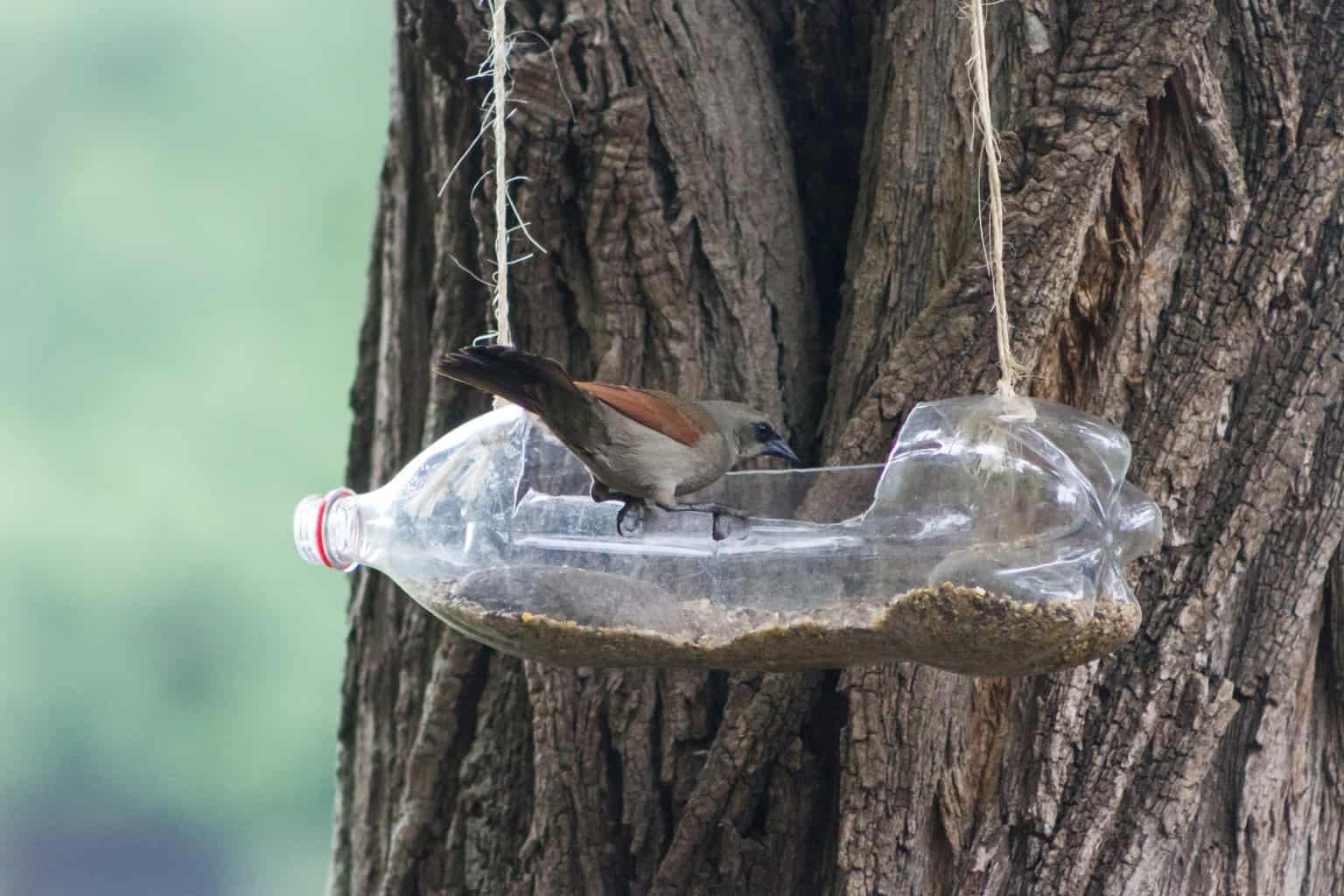 Feeders and drinkers for birds made with recycled plastic bottles