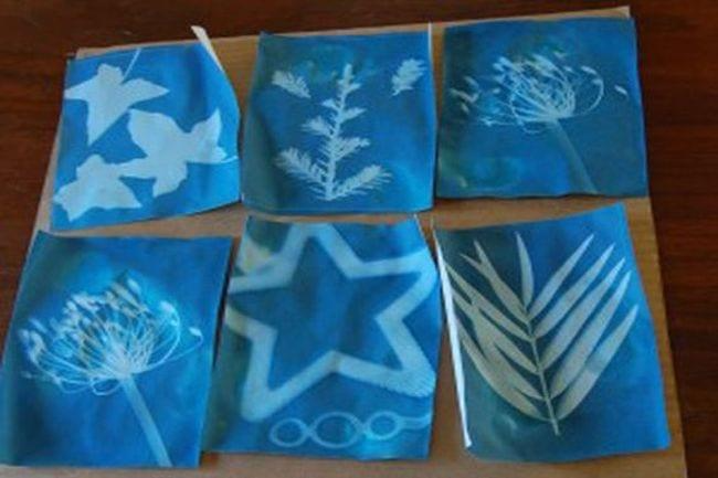 Sunprints of nature objects