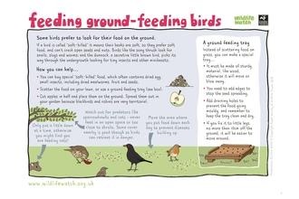 Ground feeding birds