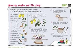 Nettle soup