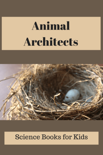 A bird in a nest

Description automatically generated with medium confidence