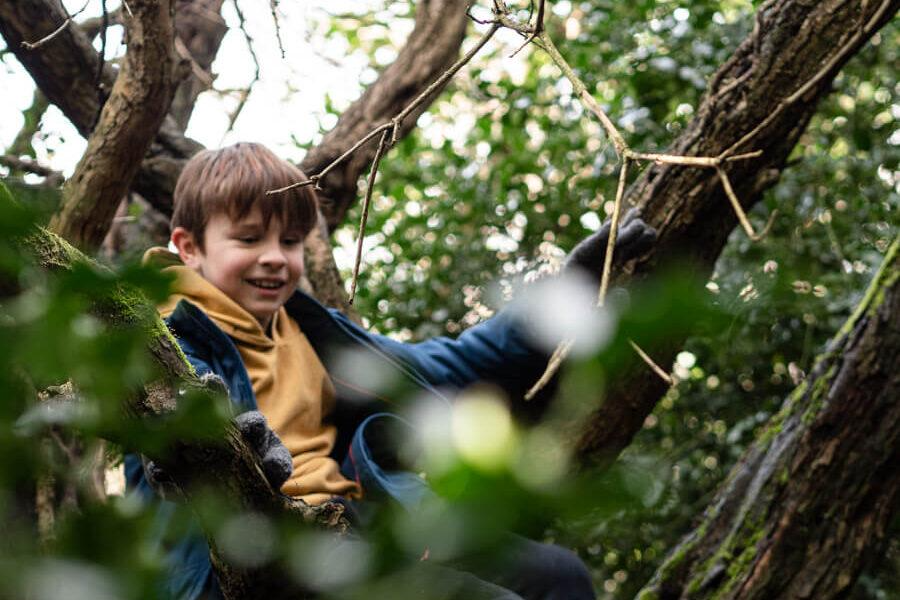 Boy climbing in tree