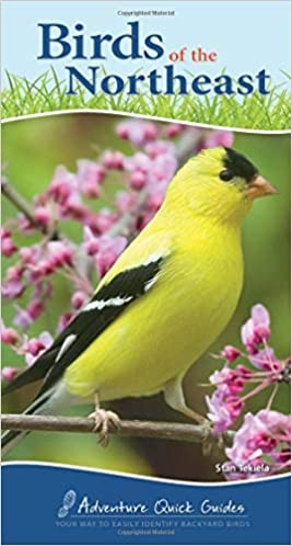 Birding for Kids - 19 Easy Ways to Get Kids into Birding