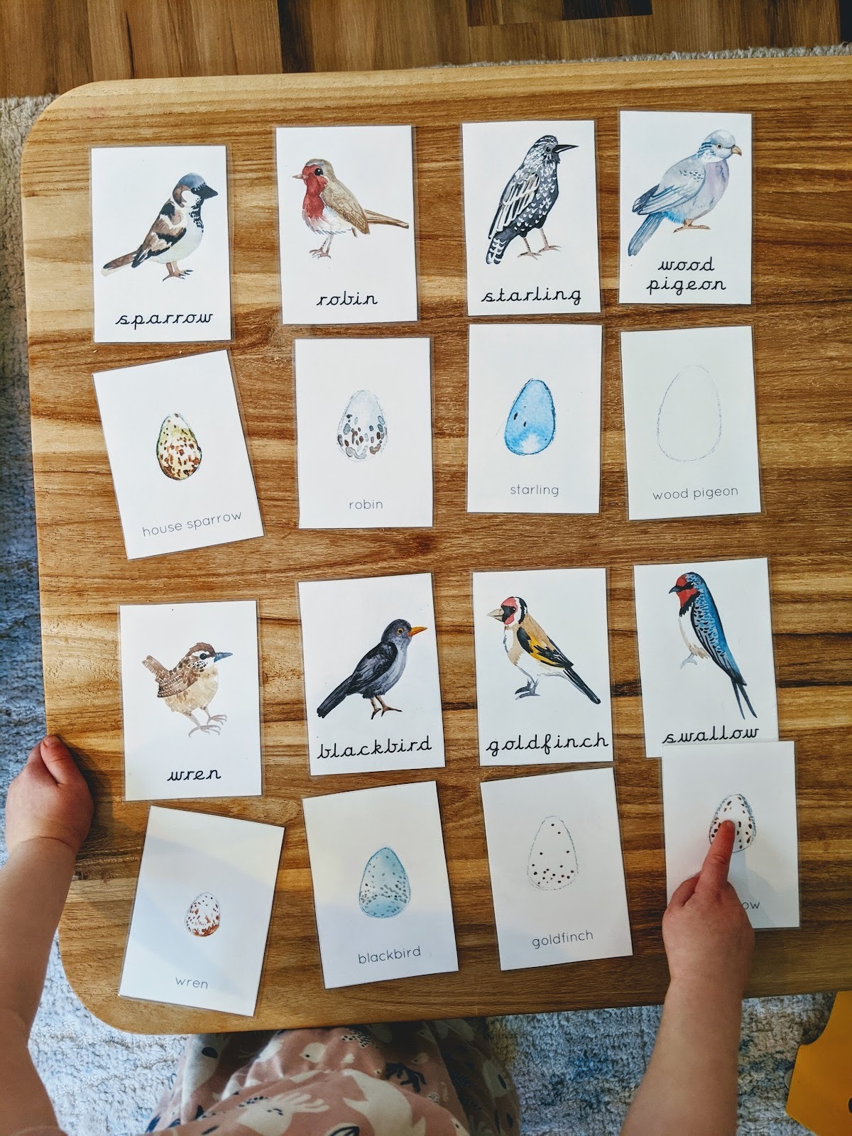Bird-Themed Activities for Toddlers - Montessori in Real Life