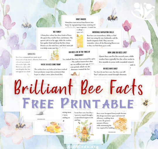 Whether your child is a budding entomologist or just curious about the wonders of nature, our printable bee facts are the perfect resource to spark their interest! This engaging collection of bee facts is designed specifically for kids, offering fun and surprising information about these fascinating insects. #kidsactivities #creativelearning #bees #freedownload #learning #creativekids #earlyeducation #braingym #kidminds #insects #facts