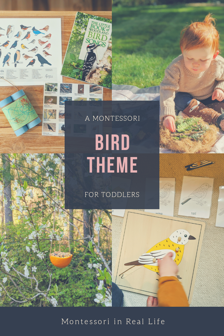 Bird-Themed Activities for Toddlers - Montessori in Real Life