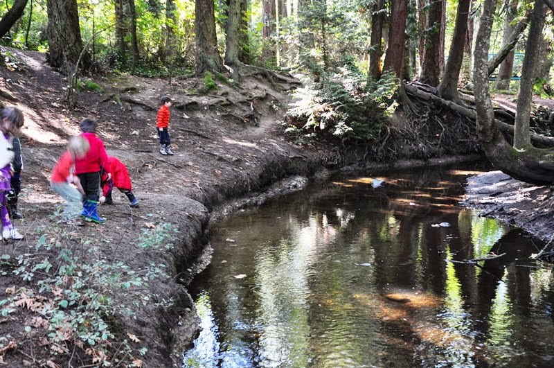 Child collecting natural items for sensory bottle on mossy ground.