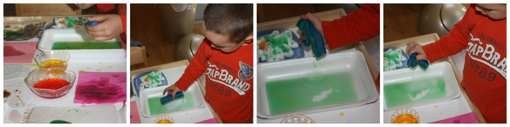 water absorption simple science sponge experimenting