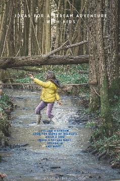 Ideas for a stream adventure with kids