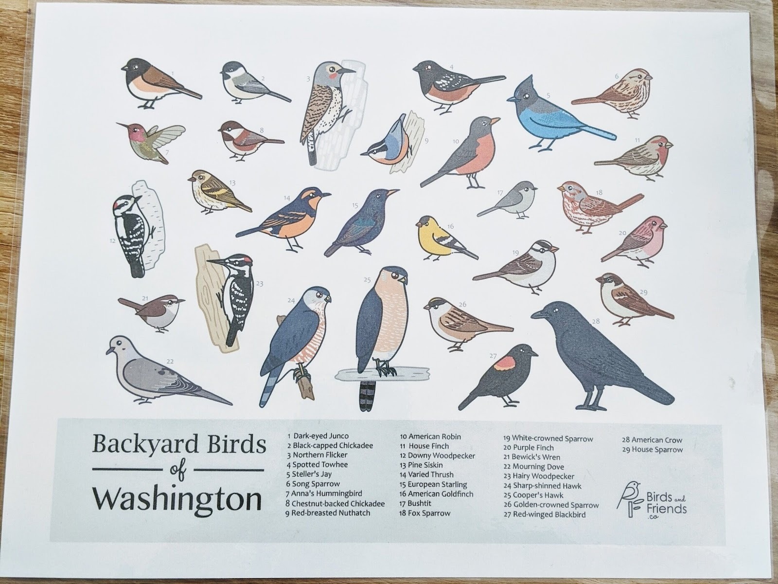 Bird-Themed Activities for Toddlers - Montessori in Real Life