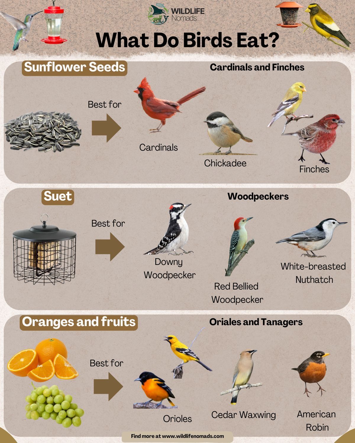 National Audubon Society