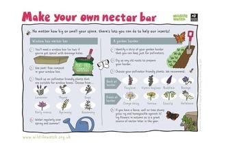Nectar bar