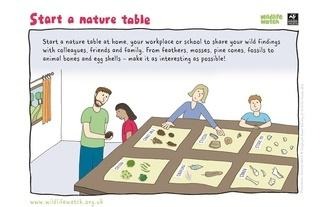 nature table