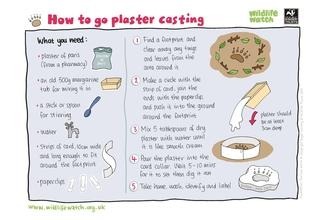 Plaster casting