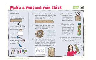Rain stick