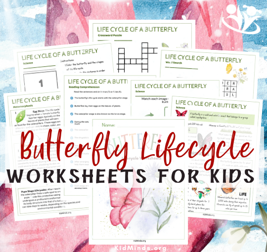 This comprehensive collection has everything your kids need to explore and understand the fascinating life cycle of a butterfly. #kidsactivities #butterflies #creativelearning #freedownload #kidminds #braingym #creativekids #funlearning #STEM