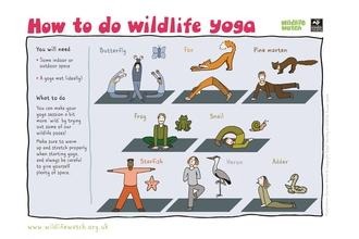 Wildlife yoga