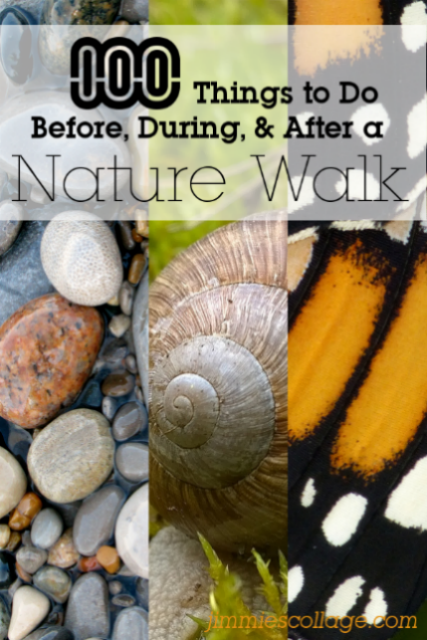 100 Things to do Before, During, and After a Nature Walk • Jimmie's Collage