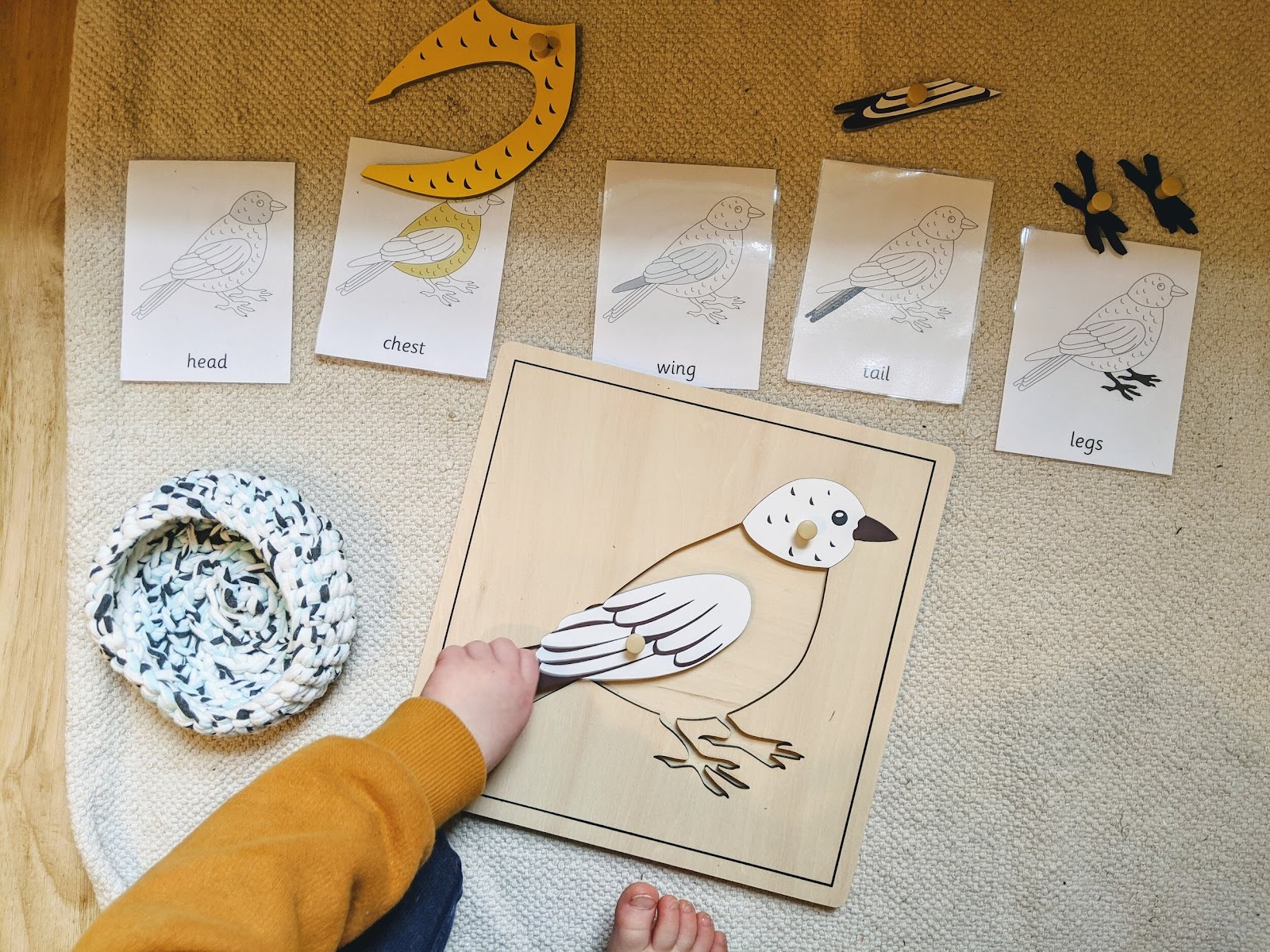 Bird Themed Activities for Toddlers - Montessori in Real Life