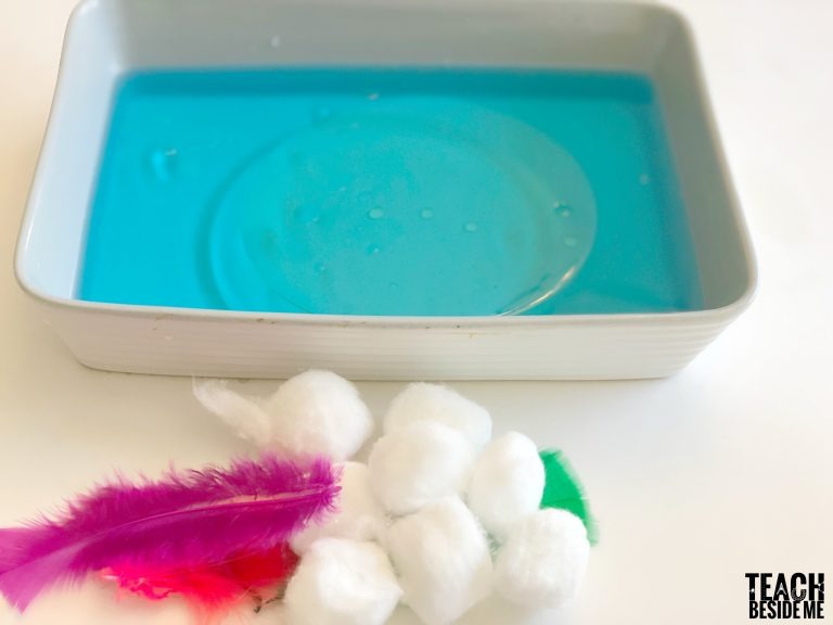 Environmental Science: Oil Spill Clean Up Experiment