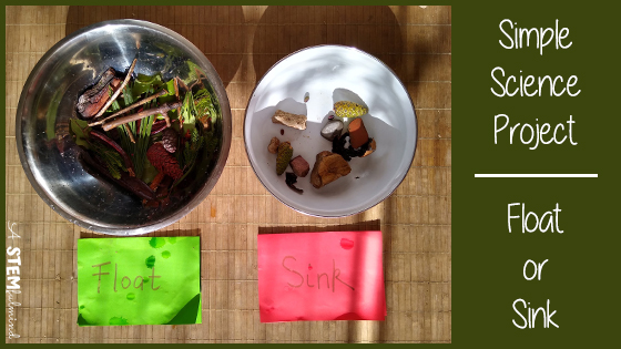 simple science project
