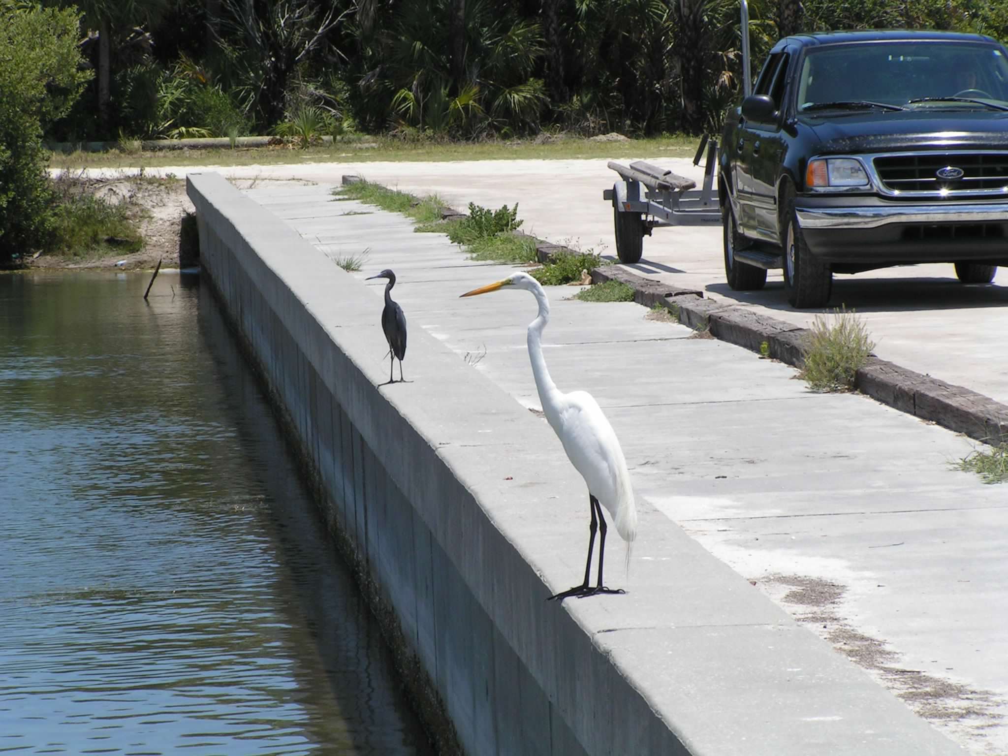 Activities For Families