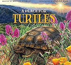 A turtle in a field of flowers

Description automatically generated with medium confidence