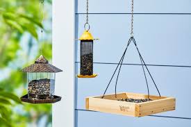 The 7 Best Bird Feeders The Spruce Has ...