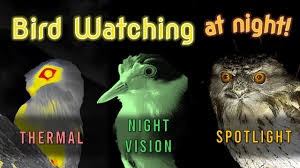 Related video thumbnail