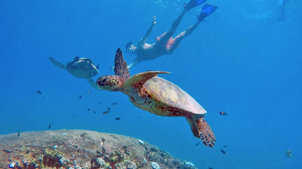 This mask may make you look like an alien, but makes snorkeling so much easier.