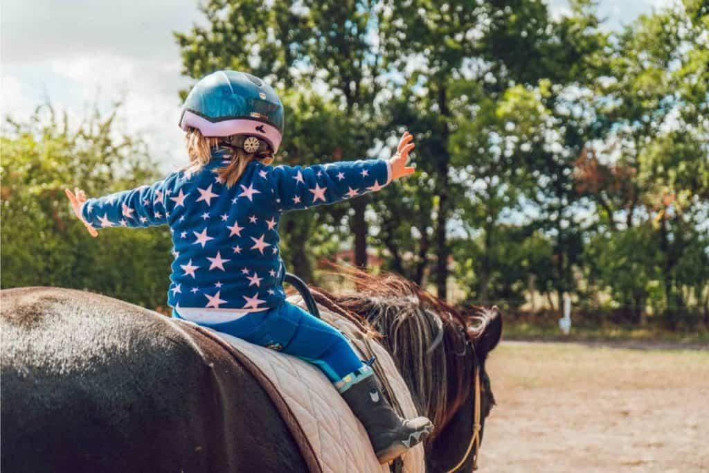 A child riding a horse

Description automatically generated with medium confidence