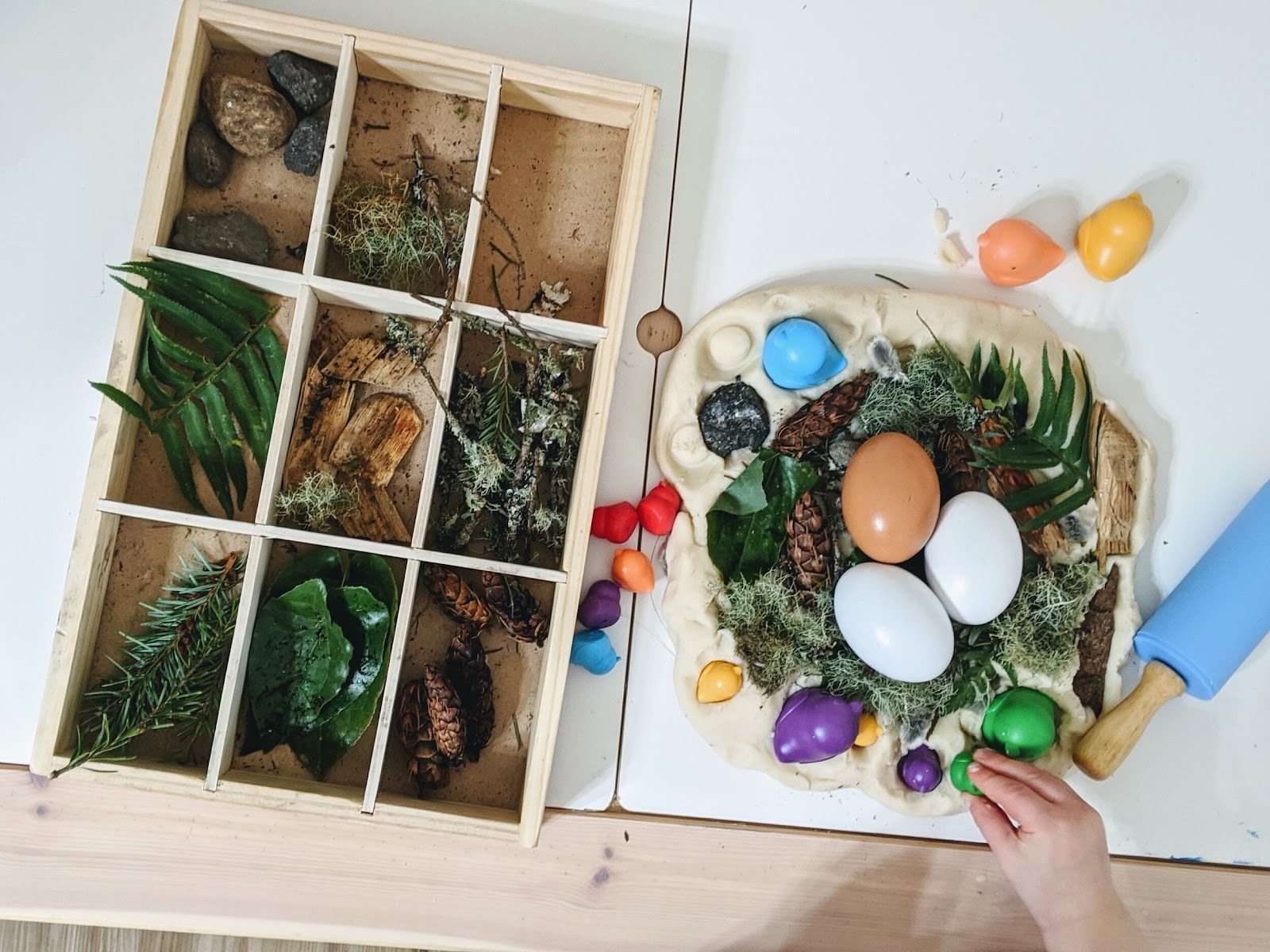 Bird-Themed Activities for Toddlers - Montessori in Real Life