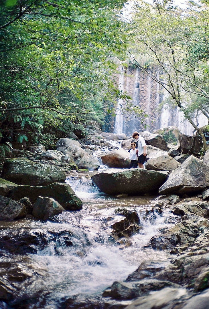 creek, summer fun, why you should go to a creek, family fun, free fun, free family fun, family time, creek fun, exploring a creek, why go to creek, creeking, get outside, explore, to do, summer to do, free to do,5 reasons to go to a creek, what can you do at a creek, 