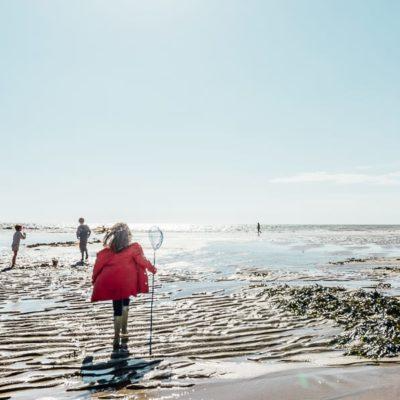 Rock Pooling Adventure