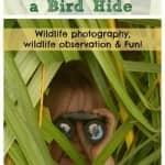 How to build a bird Hide