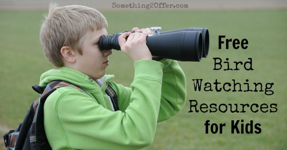 Free Bird Watching Resources for Kids