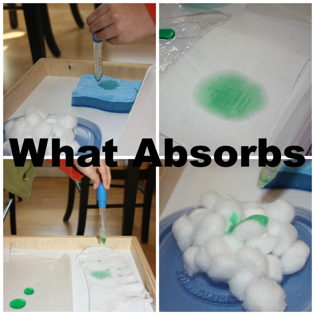 water absorption what absorbs simple science