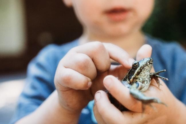 Boy Petting Frog